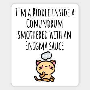 Funny I'm a Riddle Conundrum Enigma Cat design Magnet